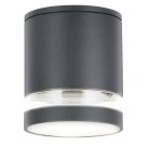 RABALUX NOWOCZESNA LAMPA ZEWNĘTRZNA SUFITOWA SPOT IP54 ZOMBOR 7817 ANTRACYT