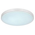 lampa sufitowa do biura sypialni gabinetu jadalni korytarza holu srebrny.jpg
